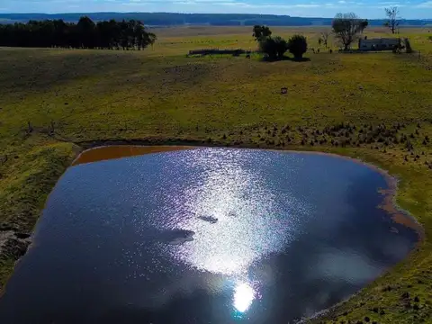 VENTA CAMPO 263hás A 9kmts DE MELO 4KMTS AERO INT.