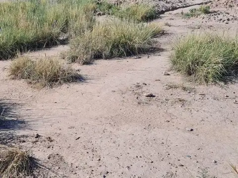 Terreno en Venta en Perdriel, USD 12.000