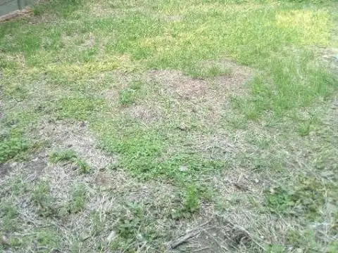 Casa en Alquiler de 1 dormitorio