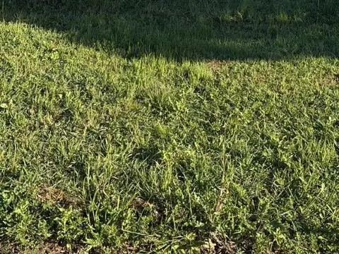 Terreno en Venta en Arroyo Seco, USD 35.000