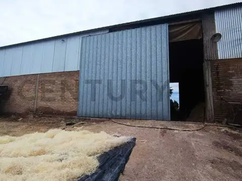 Buenos Vecinos 6600, Piso 0