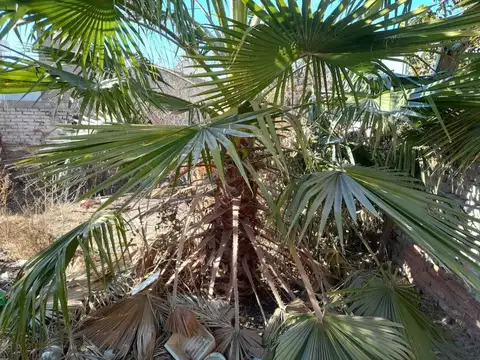 VENTA DE TERRENO GODOY CRUZ