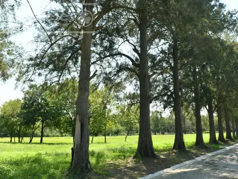 Terreno en Venta de 401,0 m2