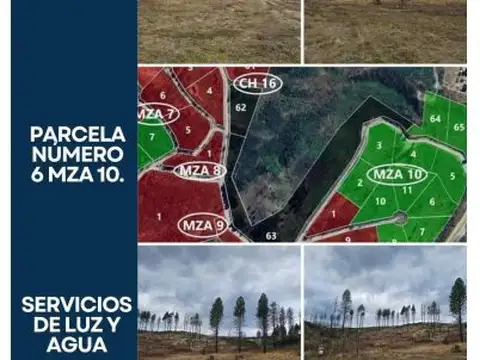 LAS GOLONDRINAS-LAGO PUELO  s/n