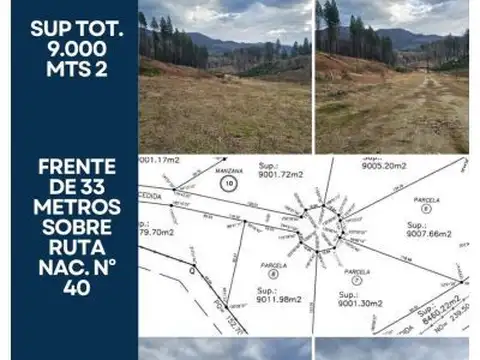 LAS GOLONDRINAS-LAGO PUELO  s/n