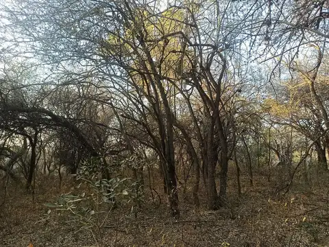 Terreno en Venta de 900,0 m2