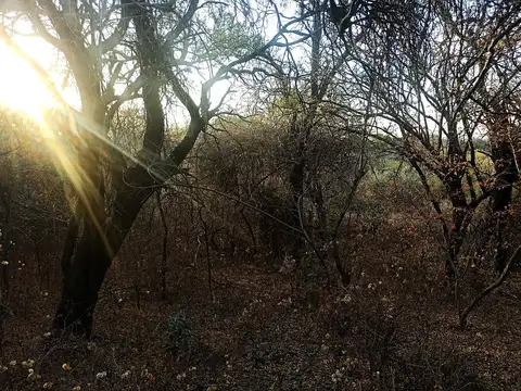 Terreno en Venta de 900,0 m2