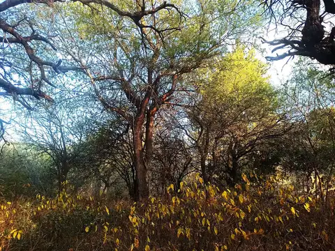 Terreno en Venta en San Marcos Sierra, USD 9.500