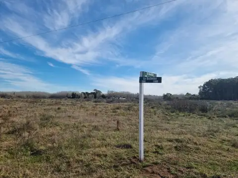 Lote: La Ballena esq. El Delfin - La Esmeralda - B350