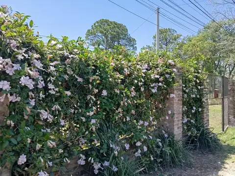 Terreno en Venta de 400,0 m2