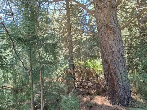 Terreno en Venta 70  mts Fondo