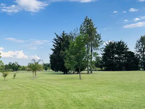 3,75 Has sobre Autovia 14 con Salón Comercial