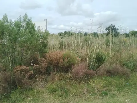 Terreno en Venta, FOT 1