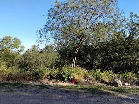 Terreno en Venta 17  mts Fondo