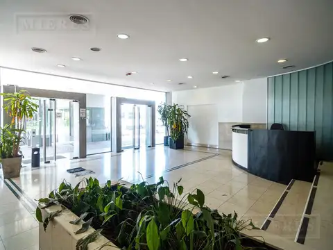 Oficina en Alquiler con 8 cocheras