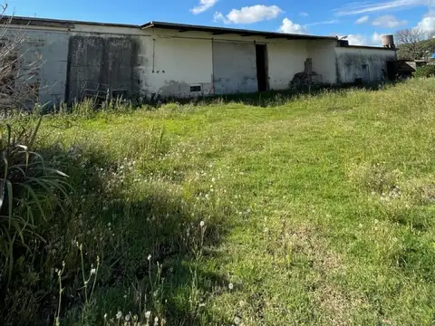 Galpon en Alquiler 22  mts Fondo