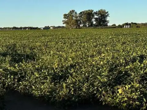 Campo 15 hectáreas en venta en Lezama