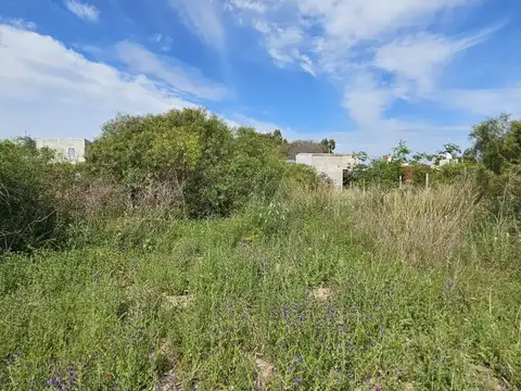 Matanza entre Arenales y Passo , Piso 0