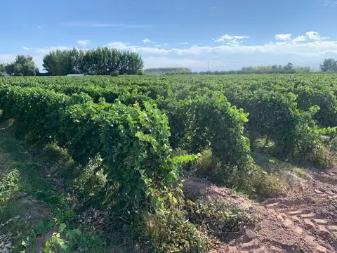 venta de finca impecable fray luis beltran