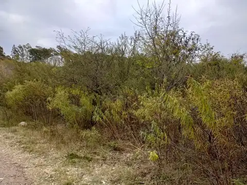 Terreno en Venta de 800,0 m2