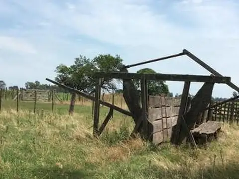 Terreno - La Porteña