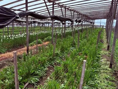 Casa en Venta 25 años