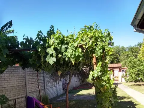 Lago Nahuel Huapi 200