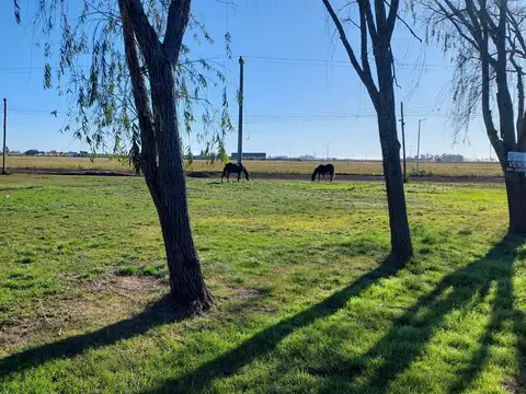 Terreno en Venta de 1213,0 m2