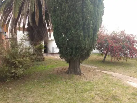 524 entre 134 y 135 3900, Piso 0