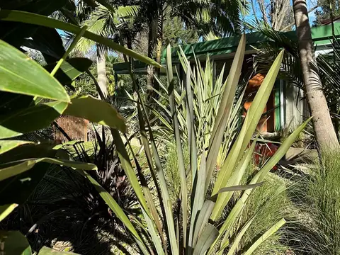 Casa en Venta 15 años