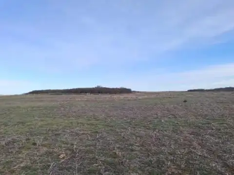 Campo en venta - 940 Hectáreas - San Luis