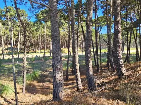 Terreno en Venta de 887,0 m2