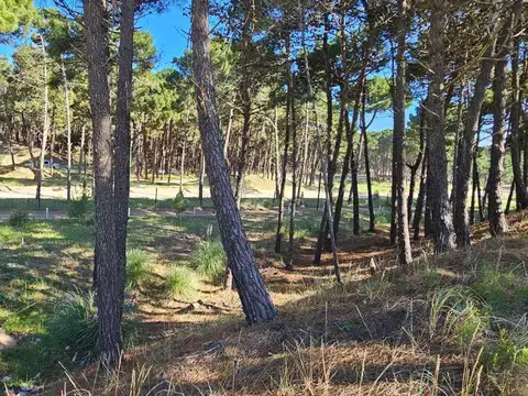 Venta Lote Pinamar Barrio  Pioneros