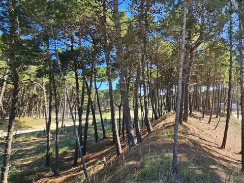 Camino Parque Los Pioneros 100