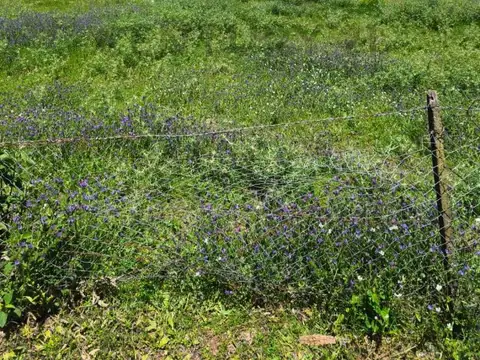 VENTA LOTE DE 1 HECTÁREA EN EXALTACIÓN DE LA CRUZ -OP0RTUNIDAD