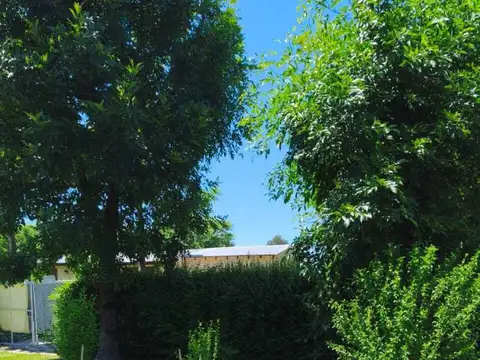 Oficina en Venta 2025 años