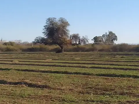 VENTA DE CAMPO 15 HAS EN VILLA DEL SOTO CORDOBA