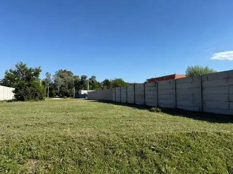 Lago Argentino y Uruguay