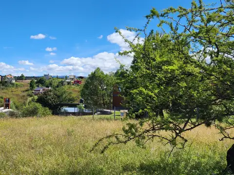 Terreno en Venta 20  mts Fondo