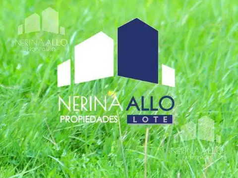 ALCALDE BENITO RIVAS 900