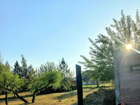 Terreno en Venta de 1000,0 m2