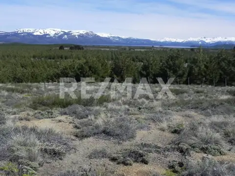 Terreno en Venta en Villa Pehuenia, USD 250.000