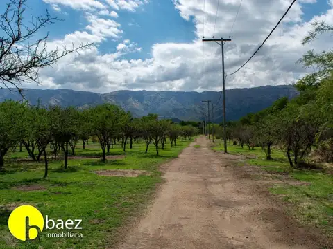 Ruta Provincial Nº 1