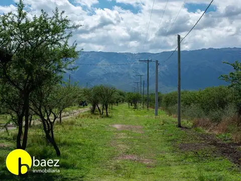 Terreno en Venta de 5000,0 m2