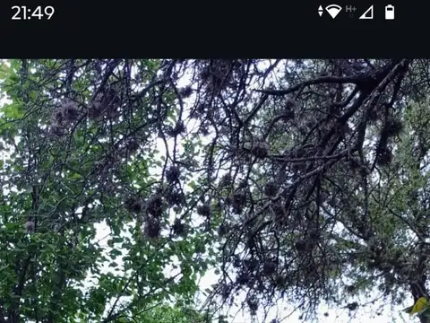 Casa en Venta al Sur