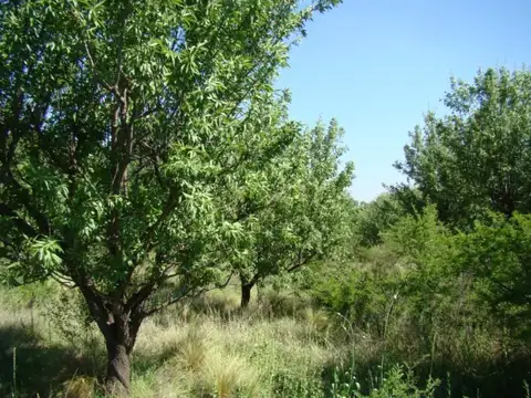 Terreno en Venta de 3300,0 m2