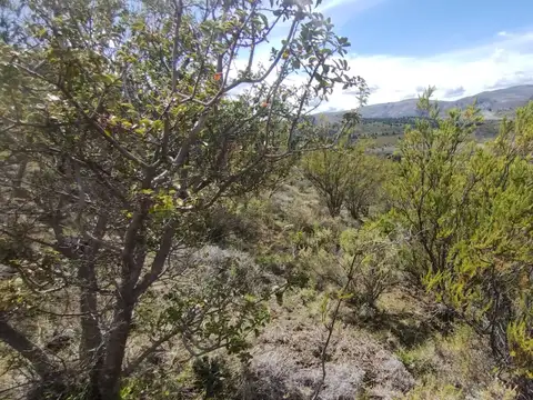 Terreno en Venta de 3700,0 m2