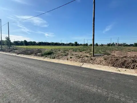 Docta Urbanización 100