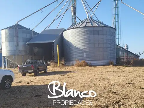 Campo  en Venta en Trenque Lauquen, Resto de la Provincia, Buenos Aires