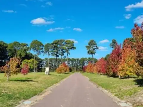 Terreno en Venta de 1954,0 m2